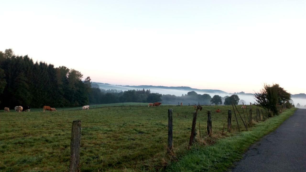 La Croisee Des Champs, Gite Entre Durbuy Et La Roche En Ardenne Erezee Экстерьер фото